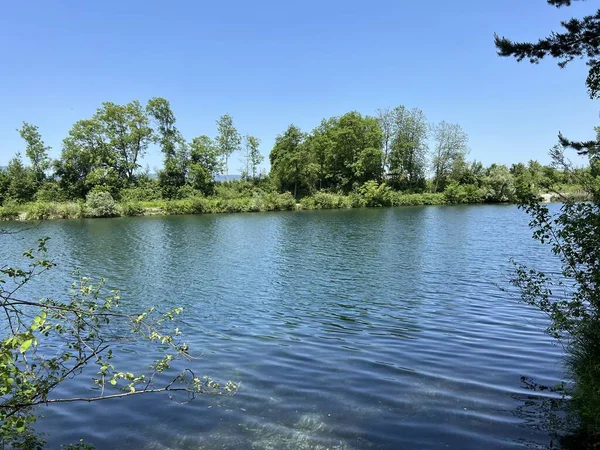 stock image Summer atmosphere in the Old Rhine Nature Park, Lustenau (Austria) - Vorfruehlings Stimmung im Naturpark Alter Rhein oder Naturpark am Alten Rhein, Lustenau - Oesterreich (Osterreich)