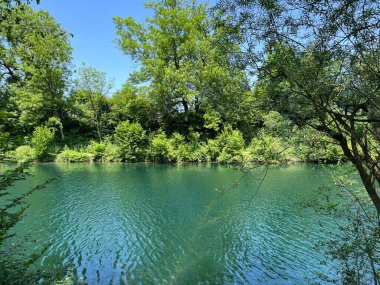 Eski Ren Doğa Parkı, Lustenau (Avusturya) - Vorfruehlings Stimmung im Naturpark Alter Rhein oder Naturpark am Alten Rhein, Lustenau - Oesterreich)