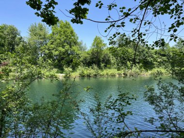Eski Ren Doğa Parkı, Lustenau (Avusturya) - Vorfruehlings Stimmung im Naturpark Alter Rhein oder Naturpark am Alten Rhein, Lustenau - Oesterreich)