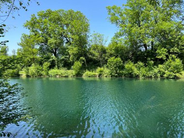 Eski Ren Doğa Parkı, Lustenau (Avusturya) - Vorfruehlings Stimmung im Naturpark Alter Rhein oder Naturpark am Alten Rhein, Lustenau - Oesterreich)