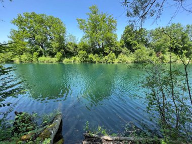 Eski Ren Doğa Parkı, Lustenau (Avusturya) - Vorfruehlings Stimmung im Naturpark Alter Rhein oder Naturpark am Alten Rhein, Lustenau - Oesterreich)