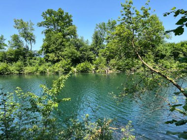 Eski Ren Doğa Parkı, Lustenau (Avusturya) - Vorfruehlings Stimmung im Naturpark Alter Rhein oder Naturpark am Alten Rhein, Lustenau - Oesterreich)