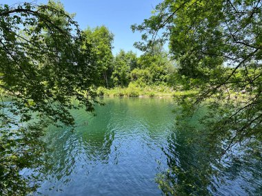 Eski Ren Doğa Parkı, Lustenau (Avusturya) - Vorfruehlings Stimmung im Naturpark Alter Rhein oder Naturpark am Alten Rhein, Lustenau - Oesterreich)