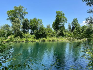 Eski Ren Doğa Parkı, Lustenau (Avusturya) - Vorfruehlings Stimmung im Naturpark Alter Rhein oder Naturpark am Alten Rhein, Lustenau - Oesterreich)