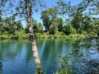 Eski Ren Doğa Parkı, Lustenau (Avusturya) - Vorfruehlings Stimmung im Naturpark Alter Rhein oder Naturpark am Alten Rhein, Lustenau - Oesterreich)