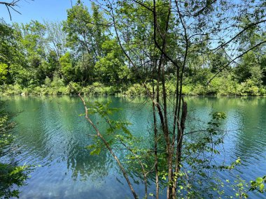 Eski Ren Doğa Parkı, Lustenau (Avusturya) - Vorfruehlings Stimmung im Naturpark Alter Rhein oder Naturpark am Alten Rhein, Lustenau - Oesterreich)