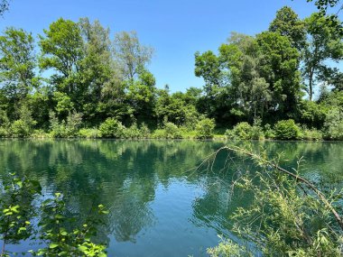 Eski Ren Doğa Parkı, Lustenau (Avusturya) - Vorfruehlings Stimmung im Naturpark Alter Rhein oder Naturpark am Alten Rhein, Lustenau - Oesterreich)