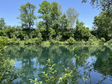 Eski Ren Doğa Parkı, Lustenau (Avusturya) - Vorfruehlings Stimmung im Naturpark Alter Rhein oder Naturpark am Alten Rhein, Lustenau - Oesterreich)