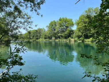 Eski Ren Doğa Parkı, Lustenau (Avusturya) - Vorfruehlings Stimmung im Naturpark Alter Rhein oder Naturpark am Alten Rhein, Lustenau - Oesterreich)
