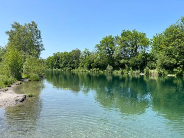 Eski Ren Doğa Parkı, Lustenau (Avusturya) - Vorfruehlings Stimmung im Naturpark Alter Rhein oder Naturpark am Alten Rhein, Lustenau - Oesterreich)