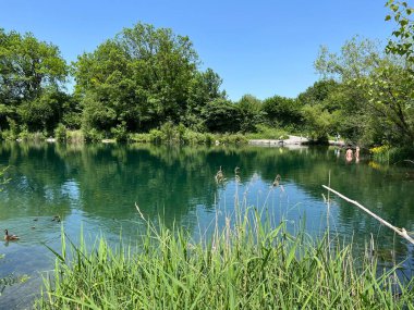 Eski Ren Doğa Parkı, Lustenau (Avusturya) - Vorfruehlings Stimmung im Naturpark Alter Rhein oder Naturpark am Alten Rhein, Lustenau - Oesterreich)