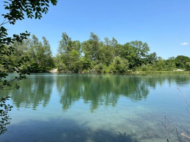 Eski Ren Doğa Parkı, Lustenau (Avusturya) - Vorfruehlings Stimmung im Naturpark Alter Rhein oder Naturpark am Alten Rhein, Lustenau - Oesterreich)
