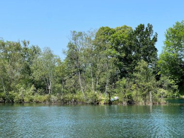 Eski Ren Doğa Parkı, Lustenau (Avusturya) - Vorfruehlings Stimmung im Naturpark Alter Rhein oder Naturpark am Alten Rhein, Lustenau - Oesterreich)