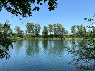 Eski Ren Doğa Parkı, Lustenau (Avusturya) - Vorfruehlings Stimmung im Naturpark Alter Rhein oder Naturpark am Alten Rhein, Lustenau - Oesterreich)