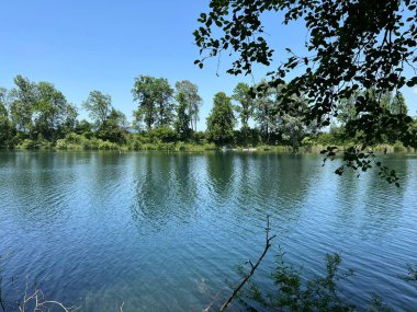 Eski Ren Doğa Parkı, Lustenau (Avusturya) - Vorfruehlings Stimmung im Naturpark Alter Rhein oder Naturpark am Alten Rhein, Lustenau - Oesterreich)