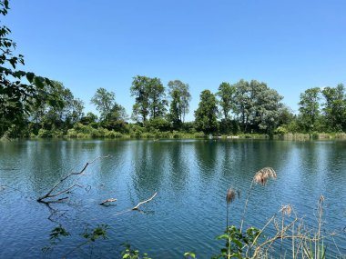 Eski Ren Doğa Parkı, Lustenau (Avusturya) - Vorfruehlings Stimmung im Naturpark Alter Rhein oder Naturpark am Alten Rhein, Lustenau - Oesterreich)