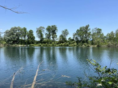 Eski Ren Doğa Parkı, Lustenau (Avusturya) - Vorfruehlings Stimmung im Naturpark Alter Rhein oder Naturpark am Alten Rhein, Lustenau - Oesterreich)