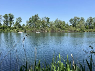 Eski Ren Doğa Parkı, Lustenau (Avusturya) - Vorfruehlings Stimmung im Naturpark Alter Rhein oder Naturpark am Alten Rhein, Lustenau - Oesterreich)