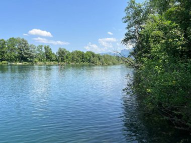 Eski Ren Doğa Parkı, Lustenau (Avusturya) - Vorfruehlings Stimmung im Naturpark Alter Rhein oder Naturpark am Alten Rhein, Lustenau - Oesterreich)