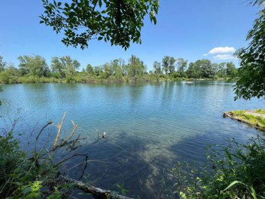 Eski Ren Doğa Parkı, Lustenau (Avusturya) - Vorfruehlings Stimmung im Naturpark Alter Rhein oder Naturpark am Alten Rhein, Lustenau - Oesterreich)