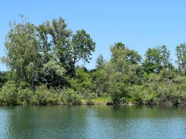 Eski Ren Doğa Parkı, Lustenau (Avusturya) - Vorfruehlings Stimmung im Naturpark Alter Rhein oder Naturpark am Alten Rhein, Lustenau - Oesterreich)
