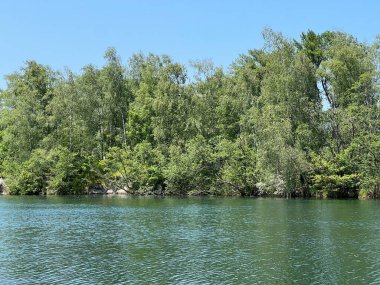Eski Ren Doğa Parkı, Lustenau (Avusturya) - Vorfruehlings Stimmung im Naturpark Alter Rhein oder Naturpark am Alten Rhein, Lustenau - Oesterreich)