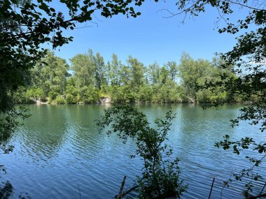 Eski Ren Doğa Parkı, Lustenau (Avusturya) - Vorfruehlings Stimmung im Naturpark Alter Rhein oder Naturpark am Alten Rhein, Lustenau - Oesterreich)