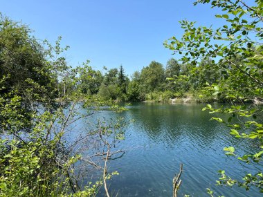 Eski Ren Doğa Parkı, Lustenau (Avusturya) - Vorfruehlings Stimmung im Naturpark Alter Rhein oder Naturpark am Alten Rhein, Lustenau - Oesterreich)