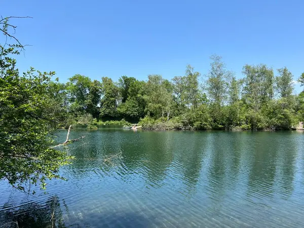 stock image Summer atmosphere in the Old Rhine Nature Park, Lustenau (Austria) - Vorfruehlings Stimmung im Naturpark Alter Rhein oder Naturpark am Alten Rhein, Lustenau - Oesterreich (Osterreich)