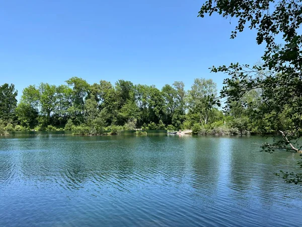 stock image Summer atmosphere in the Old Rhine Nature Park, Lustenau (Austria) - Vorfruehlings Stimmung im Naturpark Alter Rhein oder Naturpark am Alten Rhein, Lustenau - Oesterreich (Osterreich)