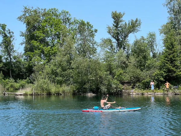 Eski Ren Doğa Parkı, Lustenau (Avusturya) - Vorfruehlings Stimmung im Naturpark Alter Rhein oder Naturpark am Alten Rhein, Lustenau - Oesterreich)