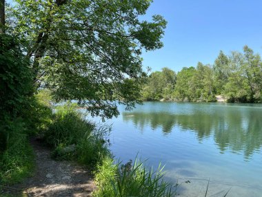 Sport- und Freizeitwege im Naturpark Alter Rhein oder Naturpark am Alten Rhein, Lustenau - Oesterreich (Osterreich))