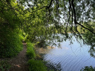 Sport- und Freizeitwege im Naturpark Alter Rhein oder Naturpark am Alten Rhein, Lustenau - Oesterreich (Osterreich))