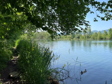 Sport- und Freizeitwege im Naturpark Alter Rhein oder Naturpark am Alten Rhein, Lustenau - Oesterreich (Osterreich))