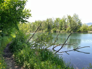 Sport- und Freizeitwege im Naturpark Alter Rhein oder Naturpark am Alten Rhein, Lustenau - Oesterreich (Osterreich))