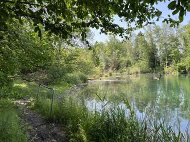Sport- und Freizeitwege im Naturpark Alter Rhein oder Naturpark am Alten Rhein, Lustenau - Oesterreich (Osterreich))