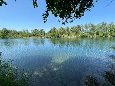 Eski Ren Doğa Parkı, Lustenau (Avusturya) - Vorfruehlings Stimmung im Naturpark Alter Rhein oder Naturpark am Alten Rhein, Lustenau - Oesterreich (Oesterreich)