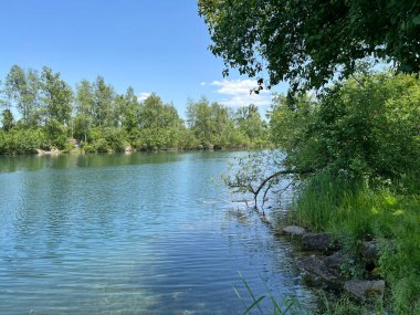 Eski Ren Doğa Parkı, Lustenau (Avusturya) - Vorfruehlings Stimmung im Naturpark Alter Rhein oder Naturpark am Alten Rhein, Lustenau - Oesterreich (Oesterreich)