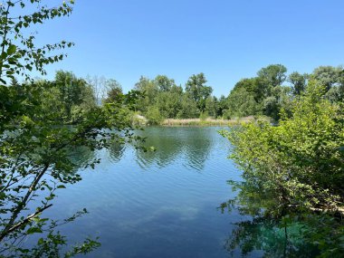 Eski Ren Doğa Parkı, Lustenau (Avusturya) - Vorfruehlings Stimmung im Naturpark Alter Rhein oder Naturpark am Alten Rhein, Lustenau - Oesterreich (Oesterreich)