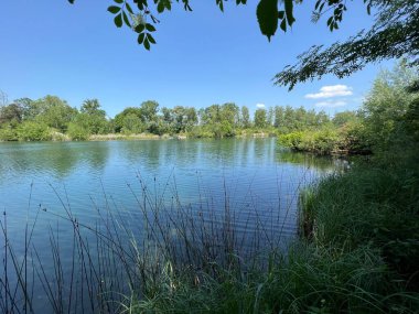 Eski Ren Doğa Parkı, Lustenau (Avusturya) - Vorfruehlings Stimmung im Naturpark Alter Rhein oder Naturpark am Alten Rhein, Lustenau - Oesterreich (Oesterreich)