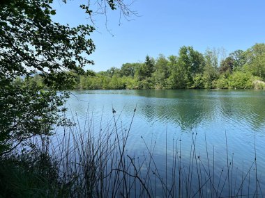 Eski Ren Doğa Parkı, Lustenau (Avusturya) - Vorfruehlings Stimmung im Naturpark Alter Rhein oder Naturpark am Alten Rhein, Lustenau - Oesterreich (Oesterreich)