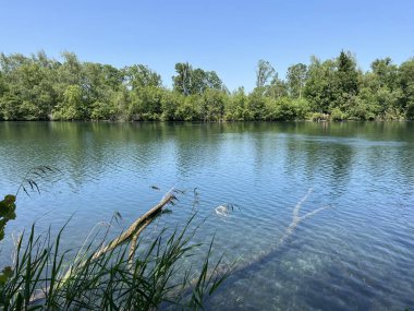 Eski Ren Doğa Parkı, Lustenau (Avusturya) - Vorfruehlings Stimmung im Naturpark Alter Rhein oder Naturpark am Alten Rhein, Lustenau - Oesterreich (Oesterreich)