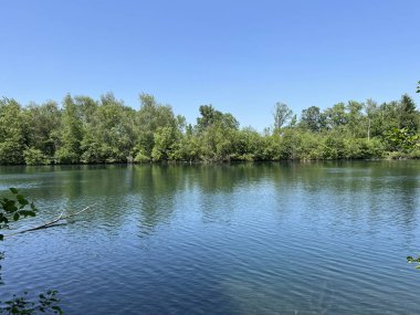 Eski Ren Doğa Parkı, Lustenau (Avusturya) - Vorfruehlings Stimmung im Naturpark Alter Rhein oder Naturpark am Alten Rhein, Lustenau - Oesterreich (Oesterreich)