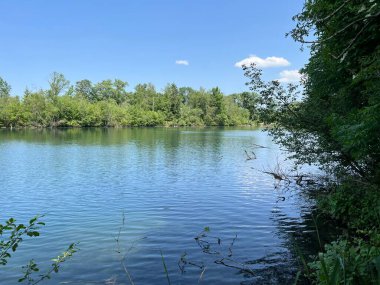 Eski Ren Doğa Parkı, Lustenau (Avusturya) - Vorfruehlings Stimmung im Naturpark Alter Rhein oder Naturpark am Alten Rhein, Lustenau - Oesterreich (Oesterreich)