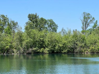 Eski Ren Doğa Parkı, Lustenau (Avusturya) - Vorfruehlings Stimmung im Naturpark Alter Rhein oder Naturpark am Alten Rhein, Lustenau - Oesterreich (Oesterreich)
