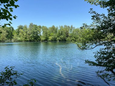 Eski Ren Doğa Parkı, Lustenau (Avusturya) - Vorfruehlings Stimmung im Naturpark Alter Rhein oder Naturpark am Alten Rhein, Lustenau - Oesterreich (Oesterreich)