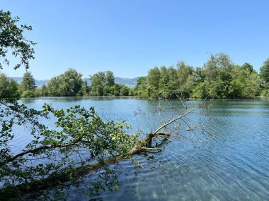 Eski Ren Doğa Parkı, Lustenau (Avusturya) - Vorfruehlings Stimmung im Naturpark Alter Rhein oder Naturpark am Alten Rhein, Lustenau - Oesterreich (Oesterreich)