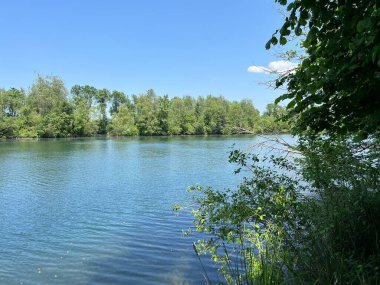 Eski Ren Doğa Parkı, Lustenau (Avusturya) - Vorfruehlings Stimmung im Naturpark Alter Rhein oder Naturpark am Alten Rhein, Lustenau - Oesterreich (Oesterreich)