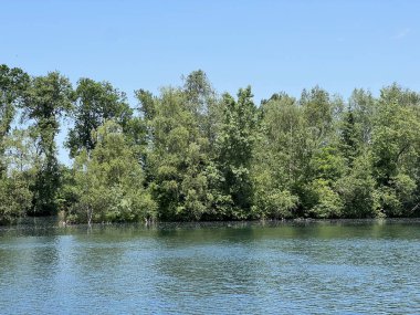 Eski Ren Doğa Parkı, Lustenau (Avusturya) - Vorfruehlings Stimmung im Naturpark Alter Rhein oder Naturpark am Alten Rhein, Lustenau - Oesterreich (Oesterreich)