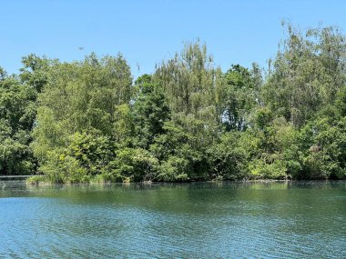 Eski Ren Doğa Parkı, Lustenau (Avusturya) - Vorfruehlings Stimmung im Naturpark Alter Rhein oder Naturpark am Alten Rhein, Lustenau - Oesterreich (Oesterreich)